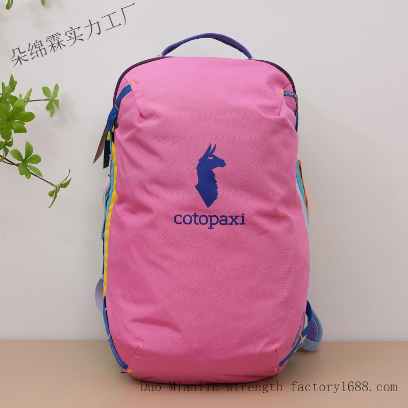 Wasserdichter Farbblock-Rucksa – Hiking Backpack Waterproof Bewertung und Preis