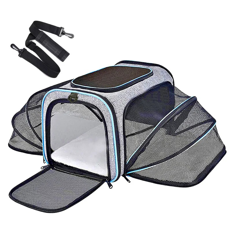 Tragbarer, atmungsaktiver, fal – Foldable Backpack Small Bewertung und Preis
